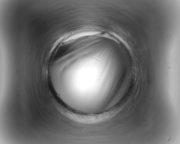 X0000086060015200704091236