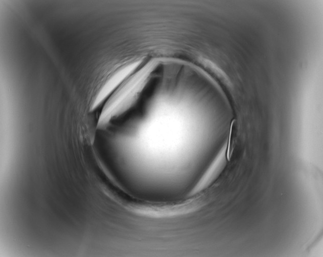 X0000086060017200704091236