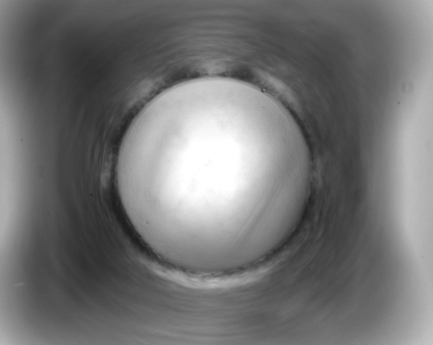 X0000086060018200704091236