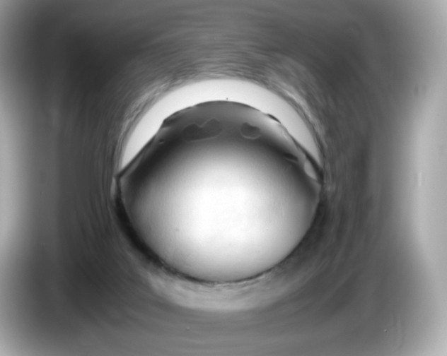 X0000086060019200704091236