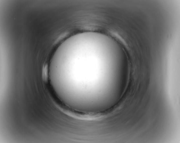 X0000086060020200704091236