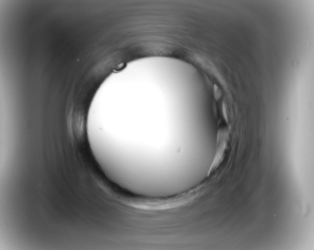 X0000086060021200704091236