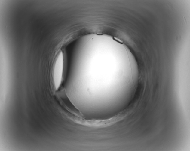 X0000086060023200704091236