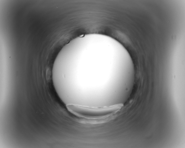 X0000086060025200704091236