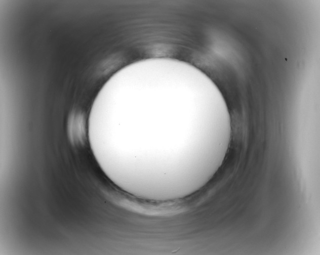 X0000086060028200704091236