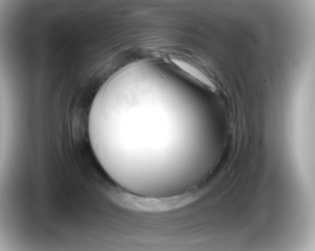 X0000086060030200704091236