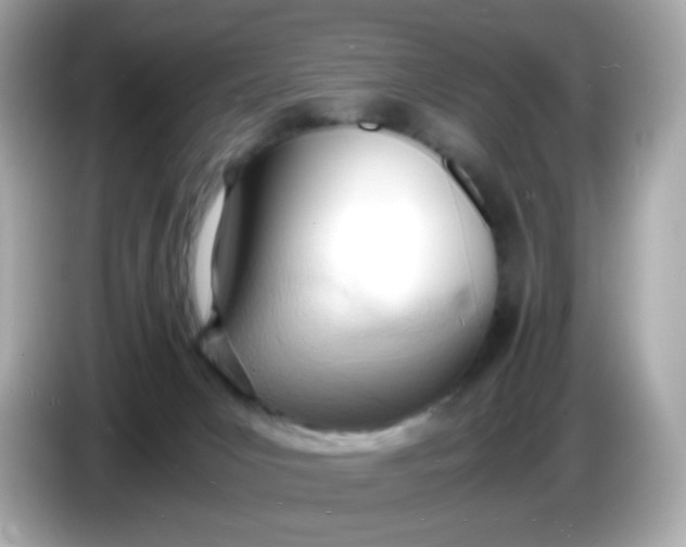 X0000086060031200704091236