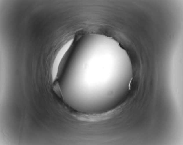 X0000086060033200704091236