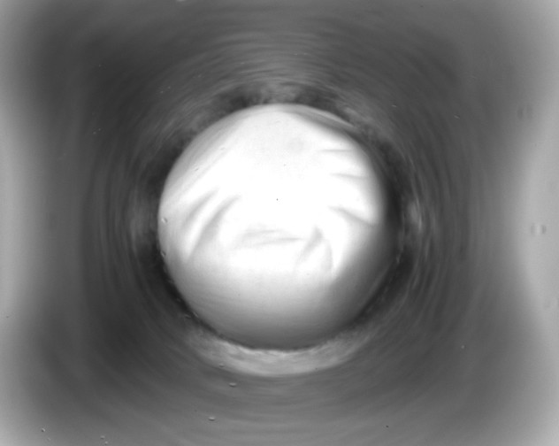 X0000086060034200704091236