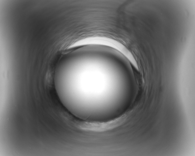 X0000086060037200704091236