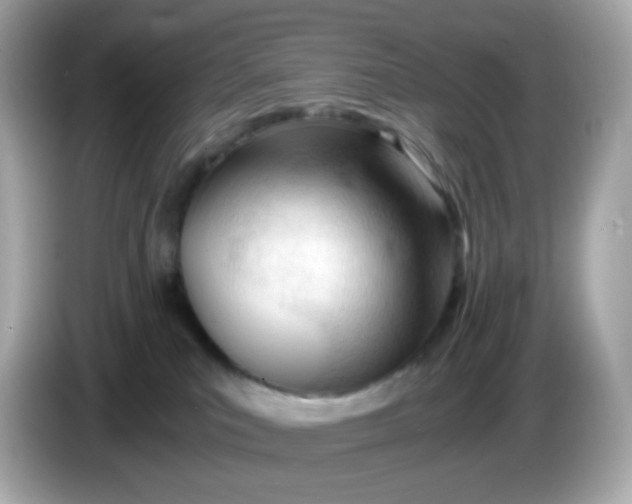 X0000086060039200704091236