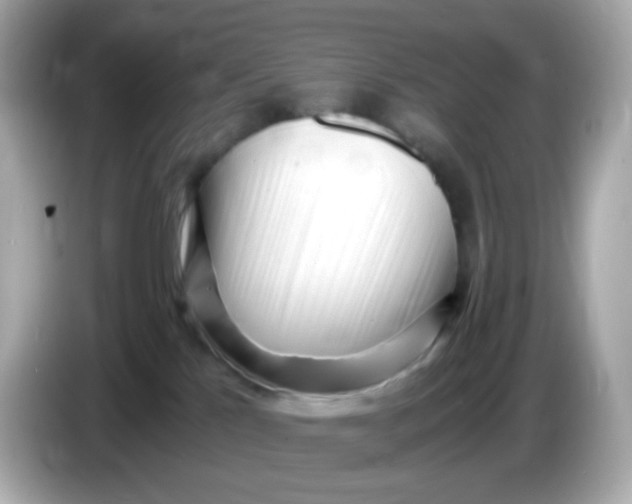 X0000086060041200704091236