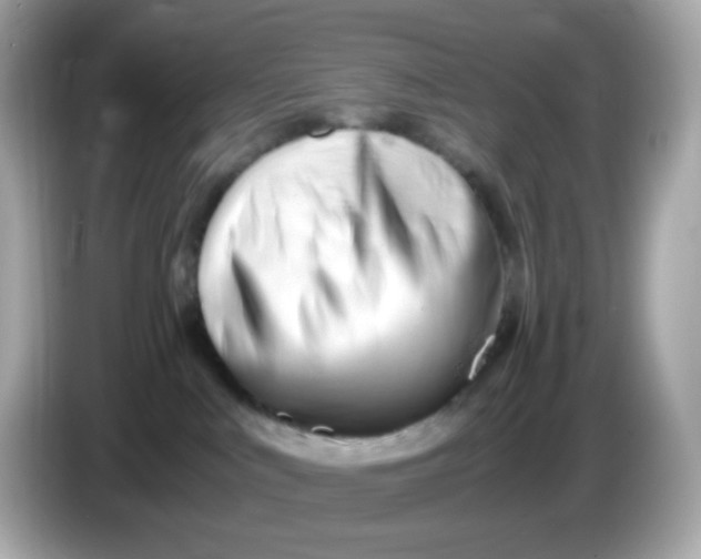 X0000086060043200704091236