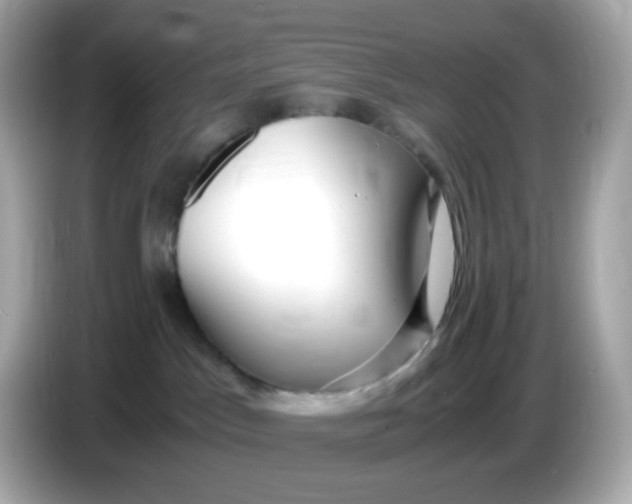 X0000086060045200704091236