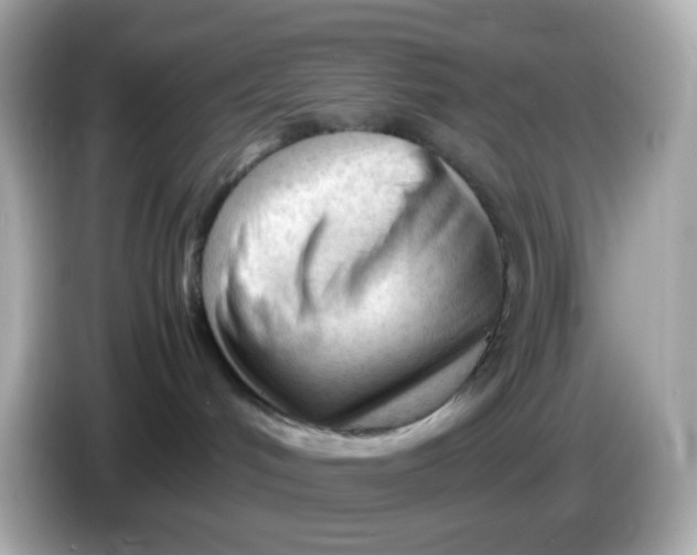 X0000086060048200704091236