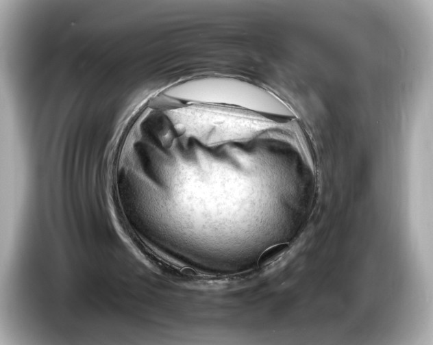 X0000086060049200704091235