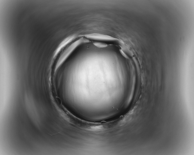 X0000086060054200704091235