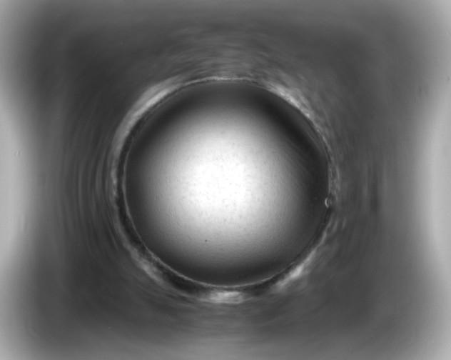 X0000086060055200704091235