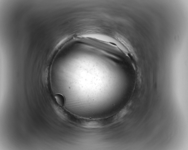 X0000086060058200704091235