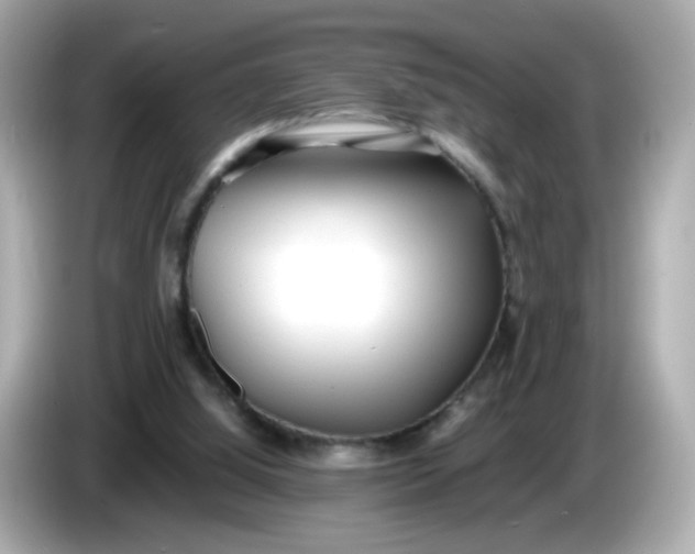 X0000086060060200704091235