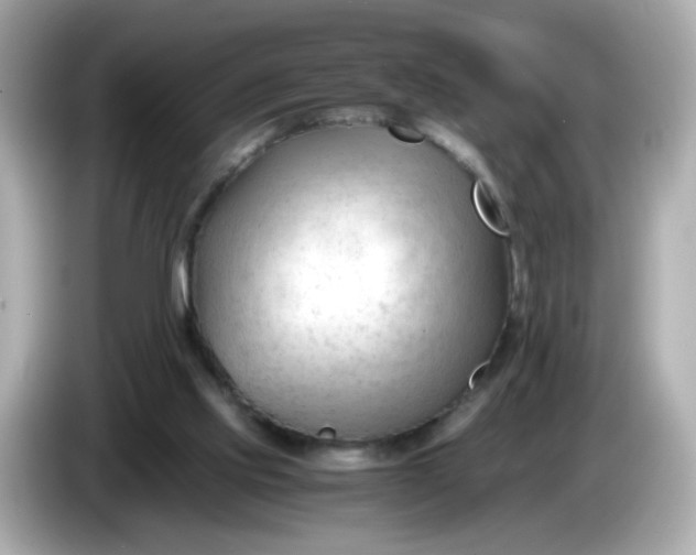 X0000086060061200704091236