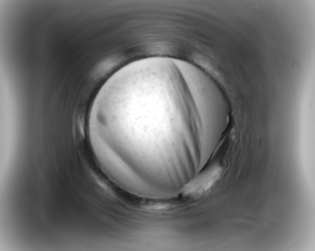 X0000086060062200704091236