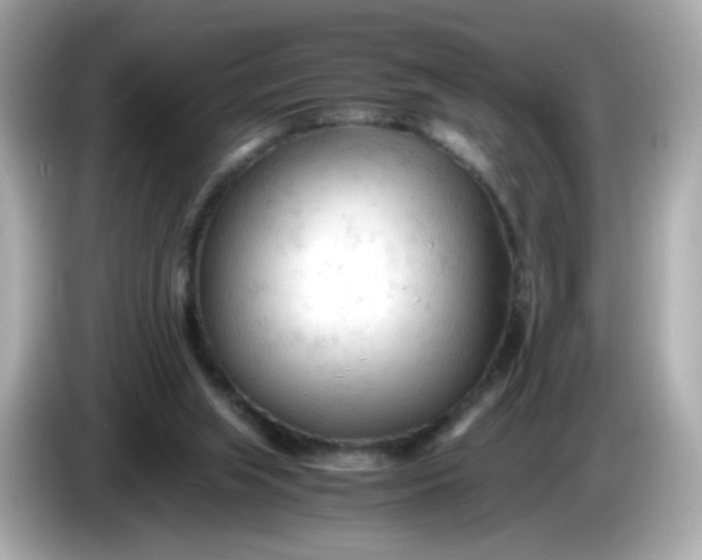 X0000086060063200704091236