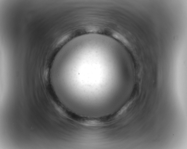 X0000086060066200704091236