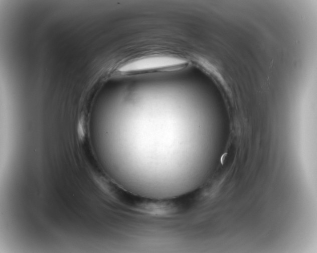 X0000086060069200704091236