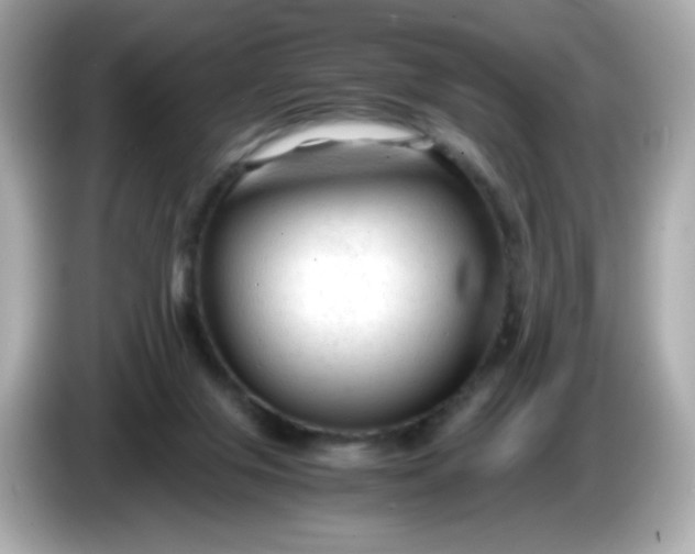 X0000086060071200704091236