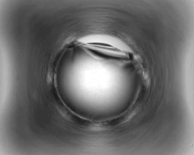 X0000086060072200704091236