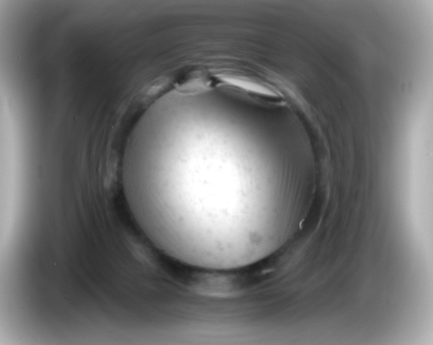 X0000086060073200704091236