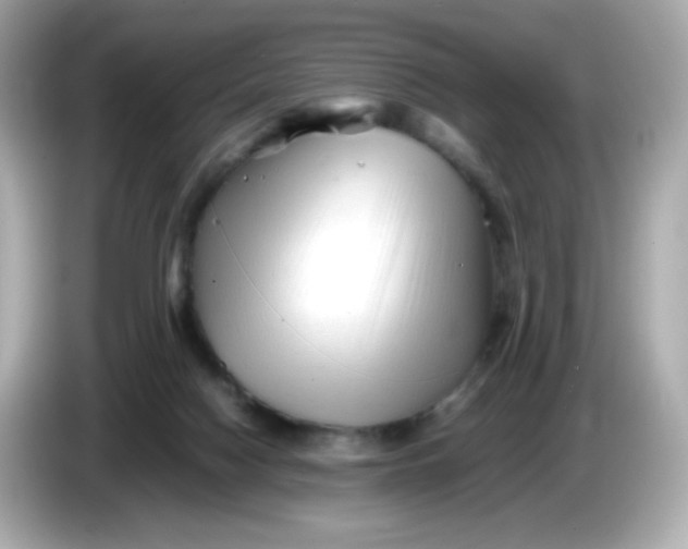 X0000086060074200704091236