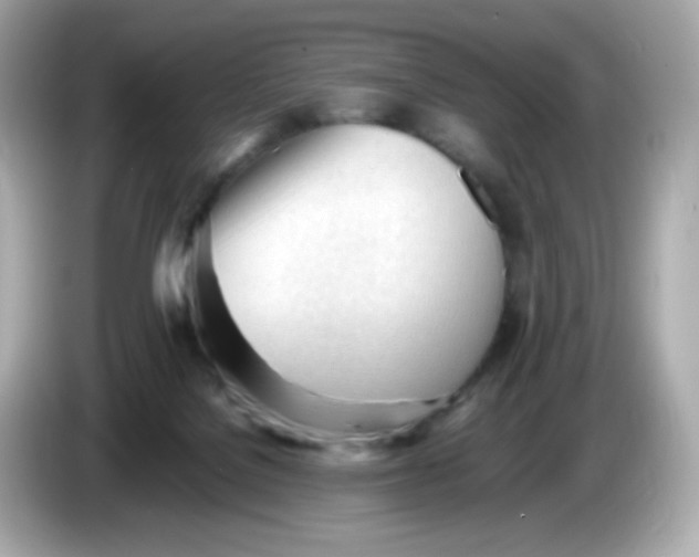 X0000086060076200704091236