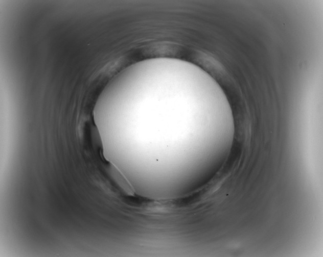 X0000086060077200704091236