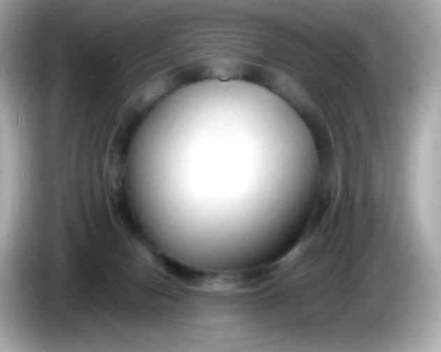 X0000086060078200704091236