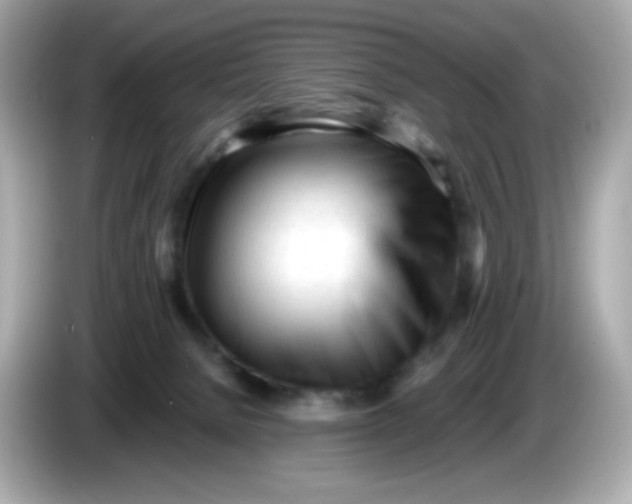 X0000086060080200704091236