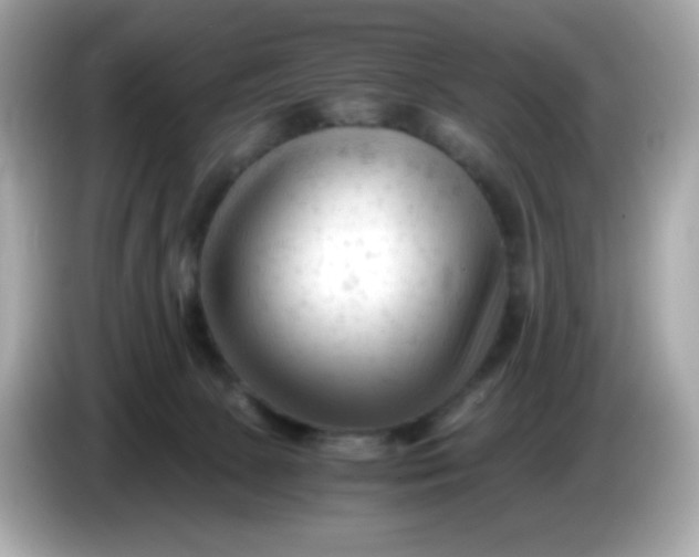 X0000086060081200704091236