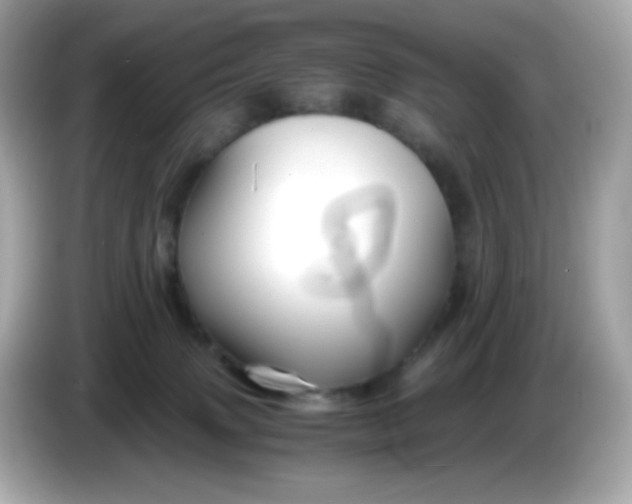 X0000086060083200704091236