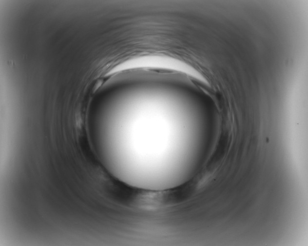 X0000086060084200704091236