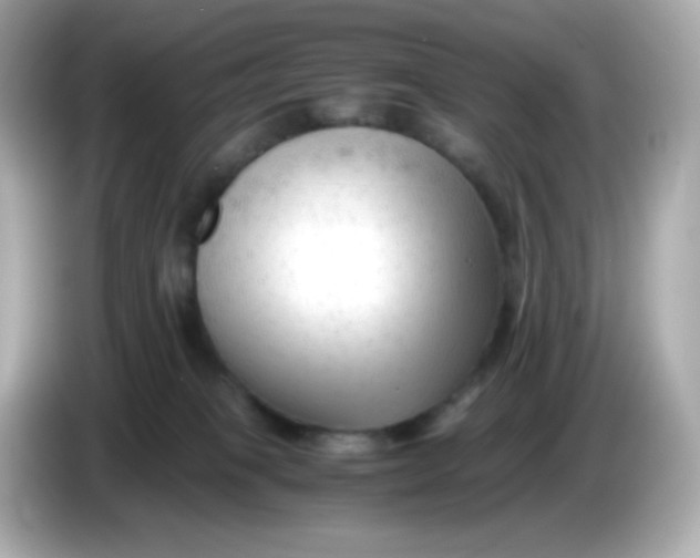 X0000086060085200704091236