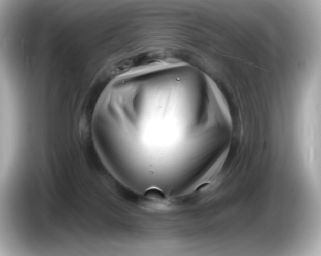 X0000086060086200704091236