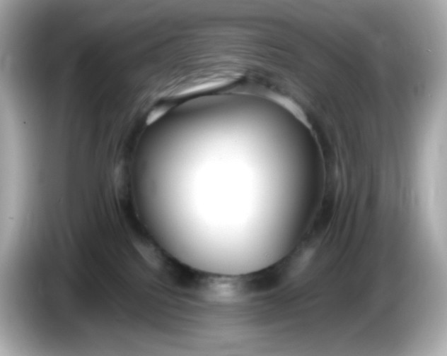 X0000086060088200704091236