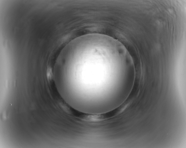 X0000086060089200704091236