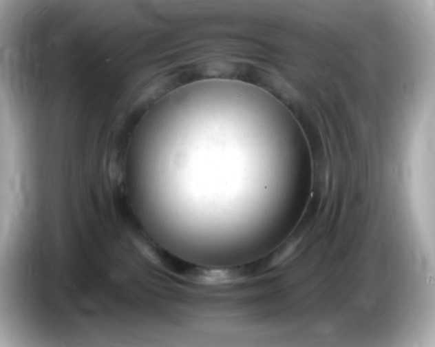 X0000086060091200704091236