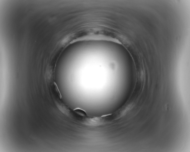 X0000086060092200704091236