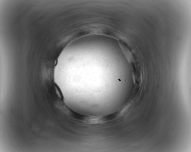 X0000086060093200704091236