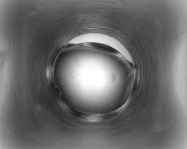 X0000086060094200704091236