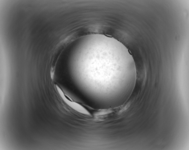 X0000086060095200704091236