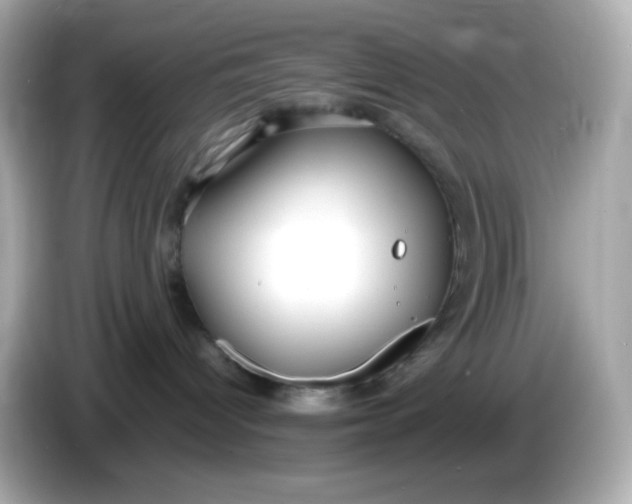 X0000086060096200704091236